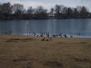 Spielplatz Am Hegbachsee in Nauheim