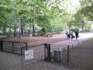 Spielplatz Bonifatiusplatz in Hannover