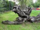 Spielplatz Südtorfeld in Sehnde Spielplatz Südtorfeld in Sehnde