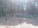 Spielplatz B�rgerfelder Teich in Oldenburg