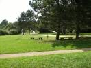 Spielplatz Waldspielplatz in Schwalbach am Taunus