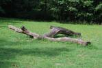Spielplatz Gr�vingholz Waldspielplatz in Dortmund