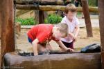 Spielplatz Dresdner Zoo in Dresden