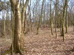 Spielplatz Kleiner Wald mit Hang in G�ttingen
