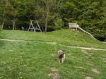 Spielplatz Am Barfu�pfad in Mei�ner
