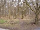 Spielplatz Großes Waldstück in Göttingen Spielplatz Großes Waldstück in Göttingen