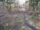 Spielplatz Rodelberg in der Fasanerie in Gro�-Gerau
