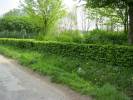 Spielplatz Am M�hlenbach in Leopoldsh�he