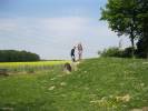 Spielplatz Weststra�e in Leopoldsh�he